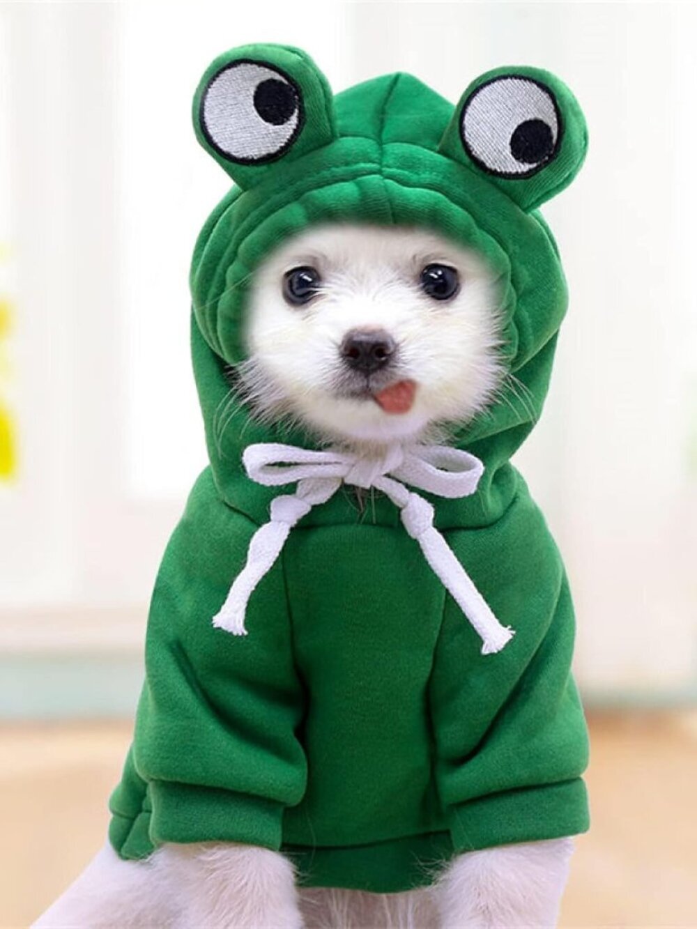 Warm Dog Winter Clothes Cute Fruit Dog Coat Hoodies